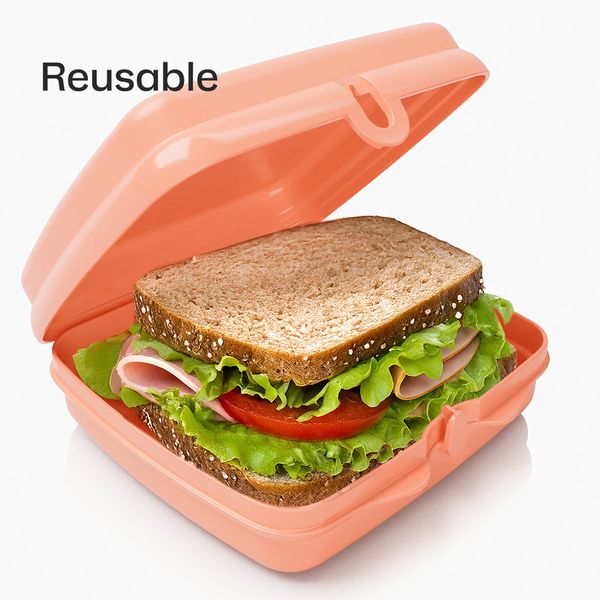 Tupperware® Sandwich Keepers - 2 Easy-Open Lunch Boxes for Kids - Image 5