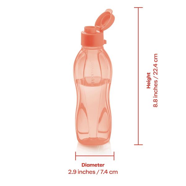 Eco+ Bottle | Small - Image 2