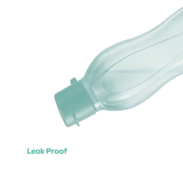 Eco+ Bottle | Small - Image 3