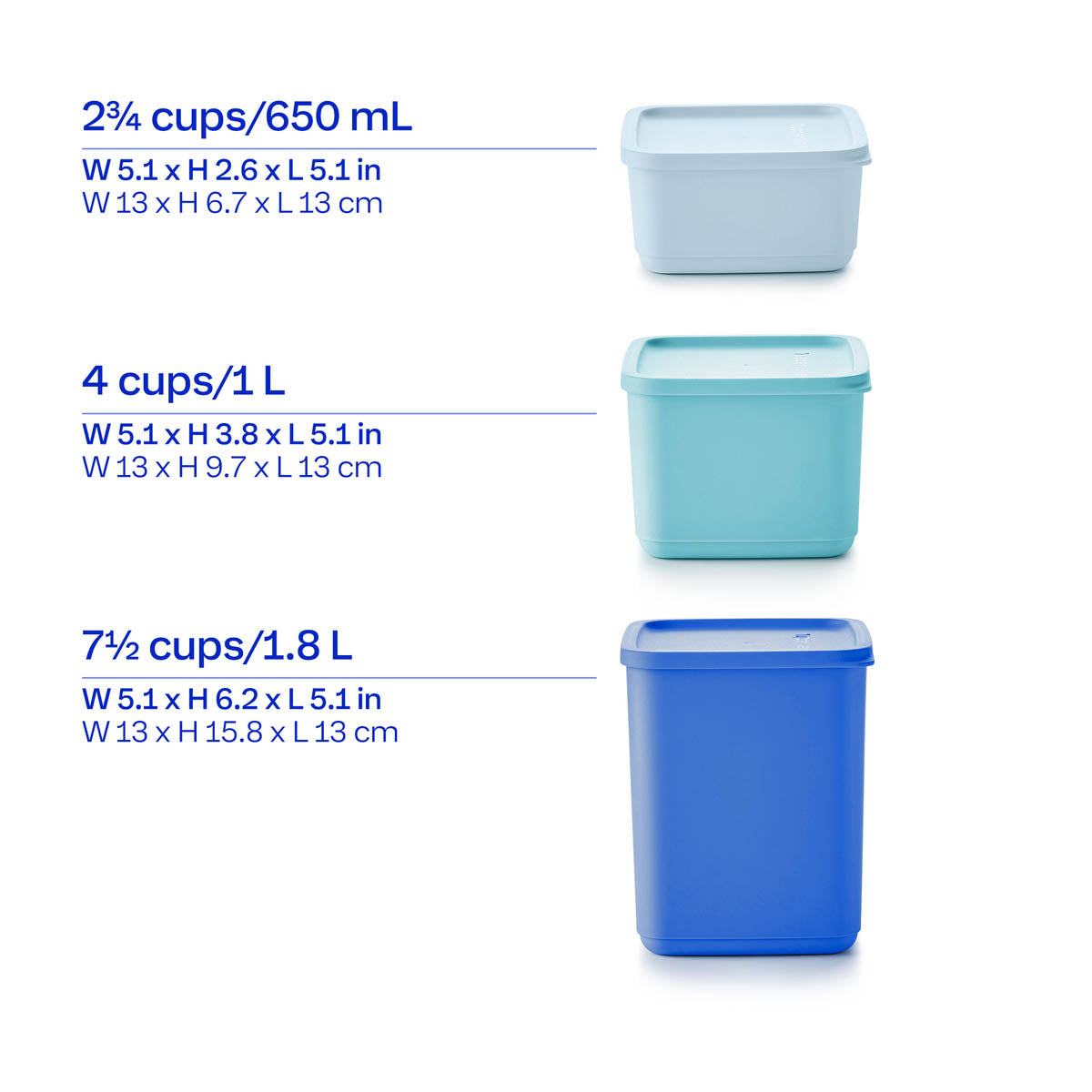 Basic Bright |6-Piece Set | Square - Image 2