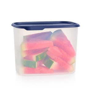 One Touch Fresh™ Rectangular | 18½ cup / 4.4 L